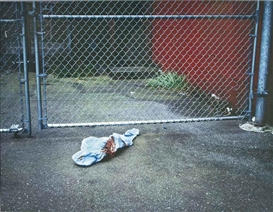 Jeff Wall, Bloodstained garment