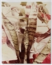 Jan Groover, Untitled No. 8873