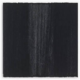 Rosemarie Trockel, False Alarm