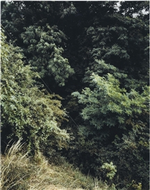 Andreas Gursky, Krefeld 1989