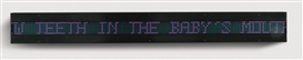 Jenny Holzer, Erlauf