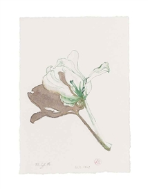 Thomas Schütte, Flower with shadow