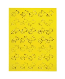 Ghada Amer, Bouches