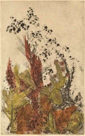 Betye Saar, The Wounded Wilderness