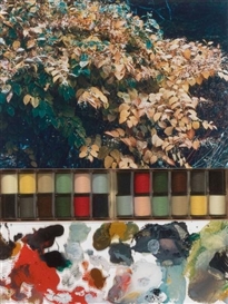 Peter Hutchinson, Color Landscape