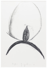 Giuseppe Penone, UNGHIA
