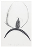 Giuseppe Penone, UNGHIA