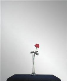 Michelangelo Pistoletto, LA ROSA