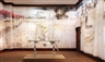 Addressing Politics Poetically: Izhar Patkin at the Jewish Museum