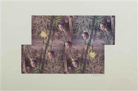 John Stezaker, UNTITLED