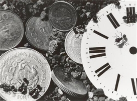 David Wojnarowicz, Untitled (Clock/Coins), from The Ant Series