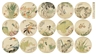 Zhang Pan, 14 works: Fans Collection