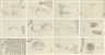 Zhang Pan, 11 works: Still Life Album