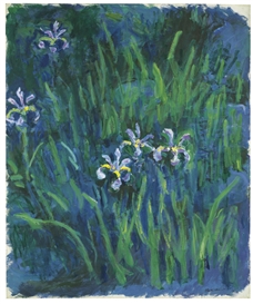 Claude Monet, IRIS