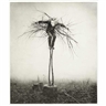 Robert & Shana ParkeHarrison, Guardian