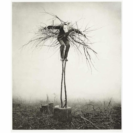 Robert & Shana ParkeHarrison, Guardian