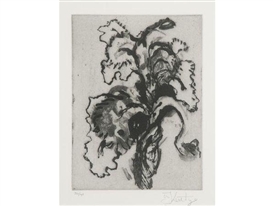 William Kentridge, Iris