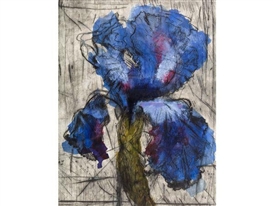 William Kentridge, Iris