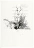 John M. Armleder, Lot de deux dessins
