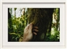 Jim Hodges, Endlessly