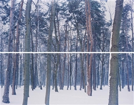Ori Gersht, Winter 2 from Liquidation