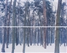 Ori Gersht, Winter 2 from Liquidation