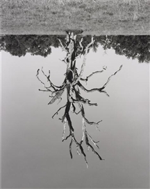 Rodney Graham, Untitled