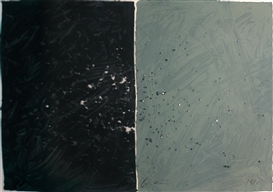 Joe Goode, Environmental Impact