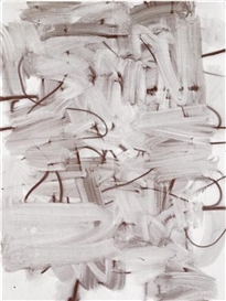 Christopher Wool, Untitled