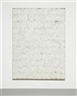 Elaine Sturtevant, Johns White Numbers