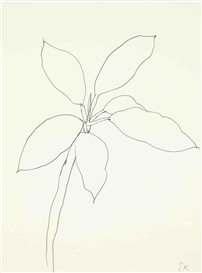 Ellsworth Kelly, Tropical Plant, St. Martin