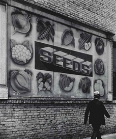 John Gutmann, (i) Sign, California, from Documents of the streets series ; ...