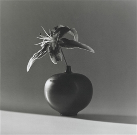 Robert Mapplethorpe, Flower