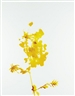 James Welling, No. 018