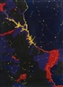 Fred Tomaselli, Colorado River