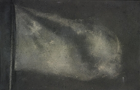 Zhang Huan, China Flag No.2