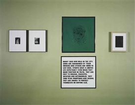 Louise Lawler, (Allan McCollum and Other Artists) Chartreuse