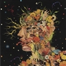 Fred Tomaselli, Head