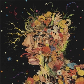 Fred Tomaselli, Head