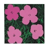 Elaine Sturtevant, Warhol Flowers