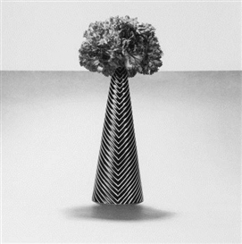 Robert Mapplethorpe, Carnations