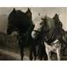 7th Photo Auction - WestLicht Auction