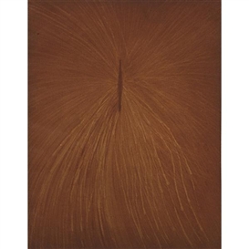 Anish Kapoor, Untitled