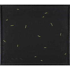 Roni Horn, You are the Weather