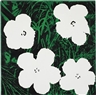 Elaine Sturtevant, Flower (After Warhol)