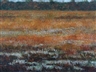 Gabor Peterdi, The Golden Marsh