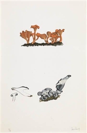 John Cage, Portfolio with complete text and 10 color lithographs