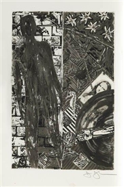 Jasper Johns, Poems by Wallace Stevens