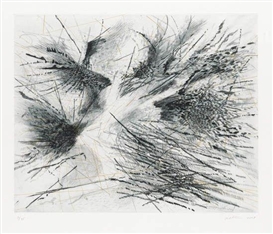 Julie Mehretu, Fracture