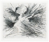 Julie Mehretu, Fracture